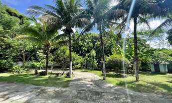 Imagem 4: Mini sítio em Campo Grande