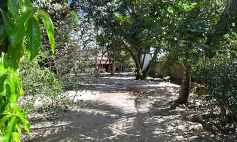 Imagem 4: Excelente Chacara