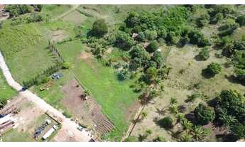 Imagem: Sitio dentro da cidade