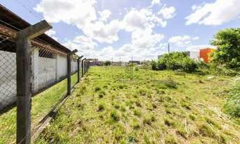 Imagem 2: Terreno para aluguel Pelotas
