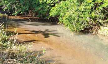 Imagem 7: CHÁCARA EM PETROLINA DE GOIAS