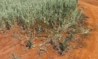 Imagem 4: Sitio com 3,5 alqueires em Tatuí-SP