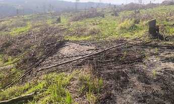 Imagem 5: Terreno 1000m² Ibiúna Documentação OK e Liberado Para Construir!