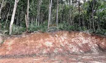 Imagem 7: Terreno Exclusivo de 8.000 m² no Recreio Campestre Escritura Pronta para Construir