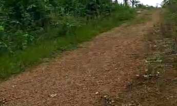 Imagem 3: Terreno Comunidade São José do Laguinho (Iranduba