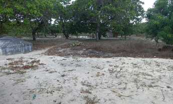 Imagem 5: Vendo ou troco terreno com casa 50x100