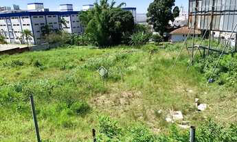 Imagem 5: Casa com Terreno de 694m² em Barreiros