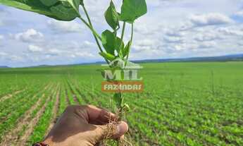 Imagem: REPASSE DE ARRENDAMENTO DISPONÍVEL BOM