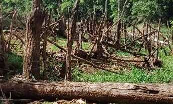 Imagem 5: Chácara em Guapó