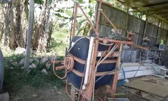 Imagem 4: Fazenda 2.000 x 5.000 BR 174 KM 144 3.000.030,00