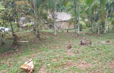 Imagem 14: 20 mil mts quadrados apenas 220 a vista ou 250 a prazo