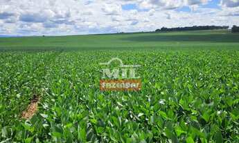 Imagem 3: REPASSE DE ARRENDAMENTO DISPONÍVEL BOM JARDIM (GO