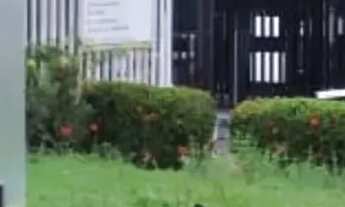 Imagem: Condomínio Alpínia 02 quartos - Bairro