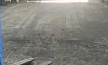 Imagem 4: Aluga-se galpao no Montese!