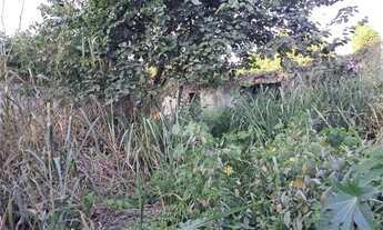 Imagem 5: Terreno à venda em Itaipu - RJ