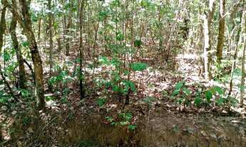 Imagem 5: Chácara para Venda em Abadiânia, Zona rural