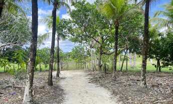 Imagem 4: Vende-se ou troca por casa em Boa Vista este sítio