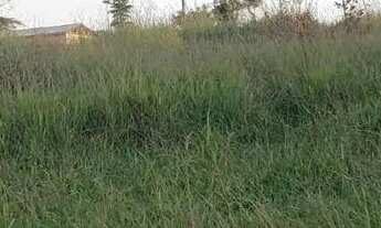 Imagem 2: Lote em Avenida Anel - Belvedere - Ribeirão das Neves/MG