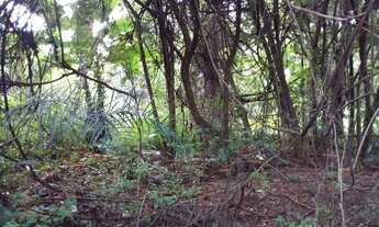 Imagem 2: TERRENO - Terreno Comercial