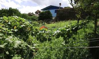 Imagem 7: Casa em Vera Cruz - Piratini - Gramado/RS