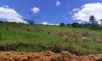 Imagem 4: Terrenos 1000 m² para viver com mais conforto e liberdade