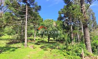 Imagem: Chácara em Estrada Geral da Carapina