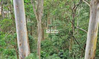 Imagem 7: Terreno à venda, 14340 m² por R$ 450.000,00 - Riograndina - Nova Friburgo/RJ