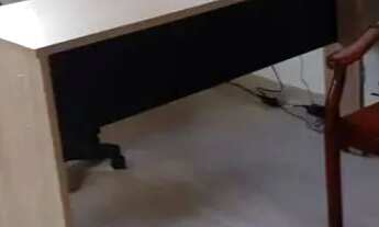 Imagem 6: SOBRADO - JARDIM NORDESTE - SP