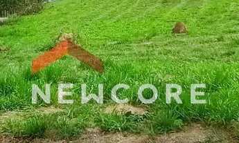 Imagem 3: Lote em condomínio em Rua Florêncio Lanfredi - Condomínio Terras de Santa Mariana - Caçapa