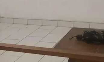 Imagem 3: Casa à venda na Ladeira do Castro, Santa Teresa, Rio de Janeiro - RJ