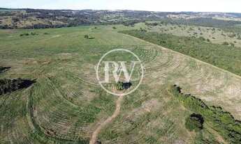 Imagem 3: Fazenda à Venda em Piracanjuba-GO com 50 Alqu. para Lavoura, Alta Produtividade