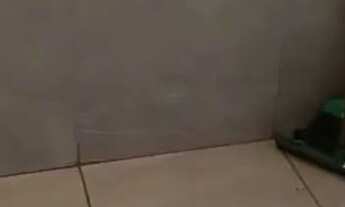 Imagem 3: Aluga-se casa Casa com 1 dormitório