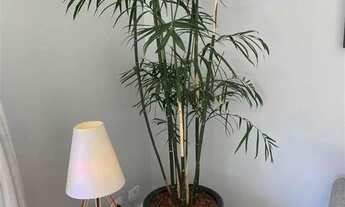 Imagem 6: Linda Casa Semi Mobiliada no Alpha 05 por R$16.000/mês+desp