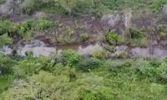 Imagem 3: Terreno 1 hectare à beira do Rio Branco - Contrato