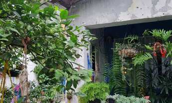 Imagem 4: BUTANTA, VENDA-Lote/Terreno