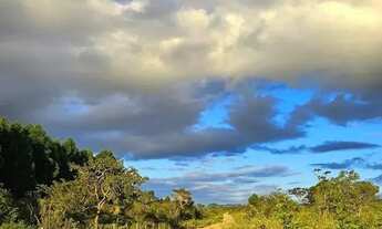 Imagem: Terreno plano com natureza