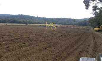 Imagem 6: Sítio para venda, 2 quarto(s), Piai, Ibiúna