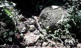 Imagem 4: Oportunidade! Área rural com muito potencial em São Francisco Xavier!