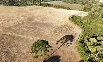 Imagem 6: Área com 100.000 m2 em Campo Alegre - SC