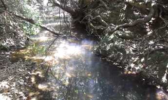 Imagem 5: Fazendinhas com nascente de água cristalina, Serra do Cipó (Temos varias opções)