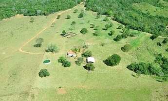 Imagem 4: Venda Fazenda ?254 hectares ? Casa sede nova ? Fazenda em Dom Aquino Mt / Poxoreu