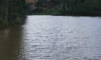 Imagem 7: Sítio com nascente em Santa Leopoldina