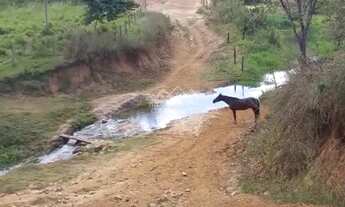 Imagem 7: Pavão - Fazenda - Centro