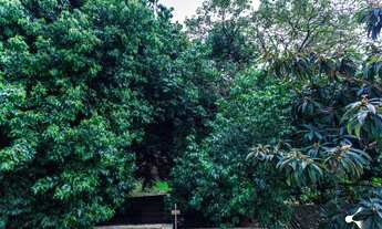 Imagem 7: Apartamento 2 Dorm Garagem Petrópolis