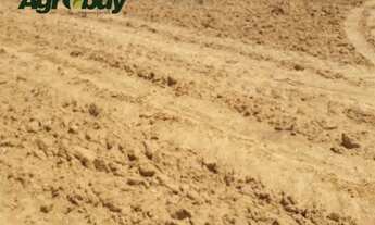 Imagem 2: Fazenda em Fátima to Com 307 Alqueires