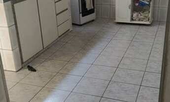 Imagem 2: LINDA CASA SENDO 3 DOMITORIOS, SENDO 1 SUITE