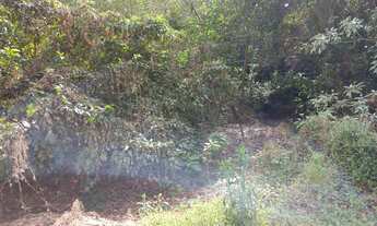 Imagem 7: Lote/Terreno para venda possui 400 metros quadrados em Vila Monte Alegre - Ribeirão Preto