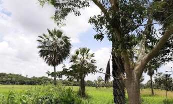 Imagem 2: GF-Loteamento Reserva Camará a 7 km do Centro de Eusébio! Condomínio Fechado 1DA2TP6