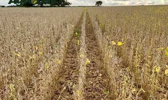 Imagem 2: Fazenda Com 50km de Palmas