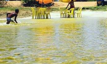 Imagem 4: LOTE 300 M2 / 60 X SEM JUROS / CANTO DOS PÁSSAROS / BARRA DO JACUÍPE